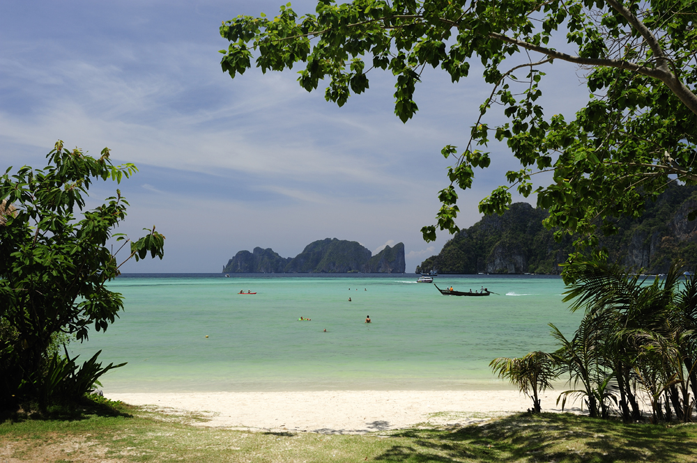 Porno yulduz Sirining suratlari Tort oyoqli hayvonlar bilan porno video