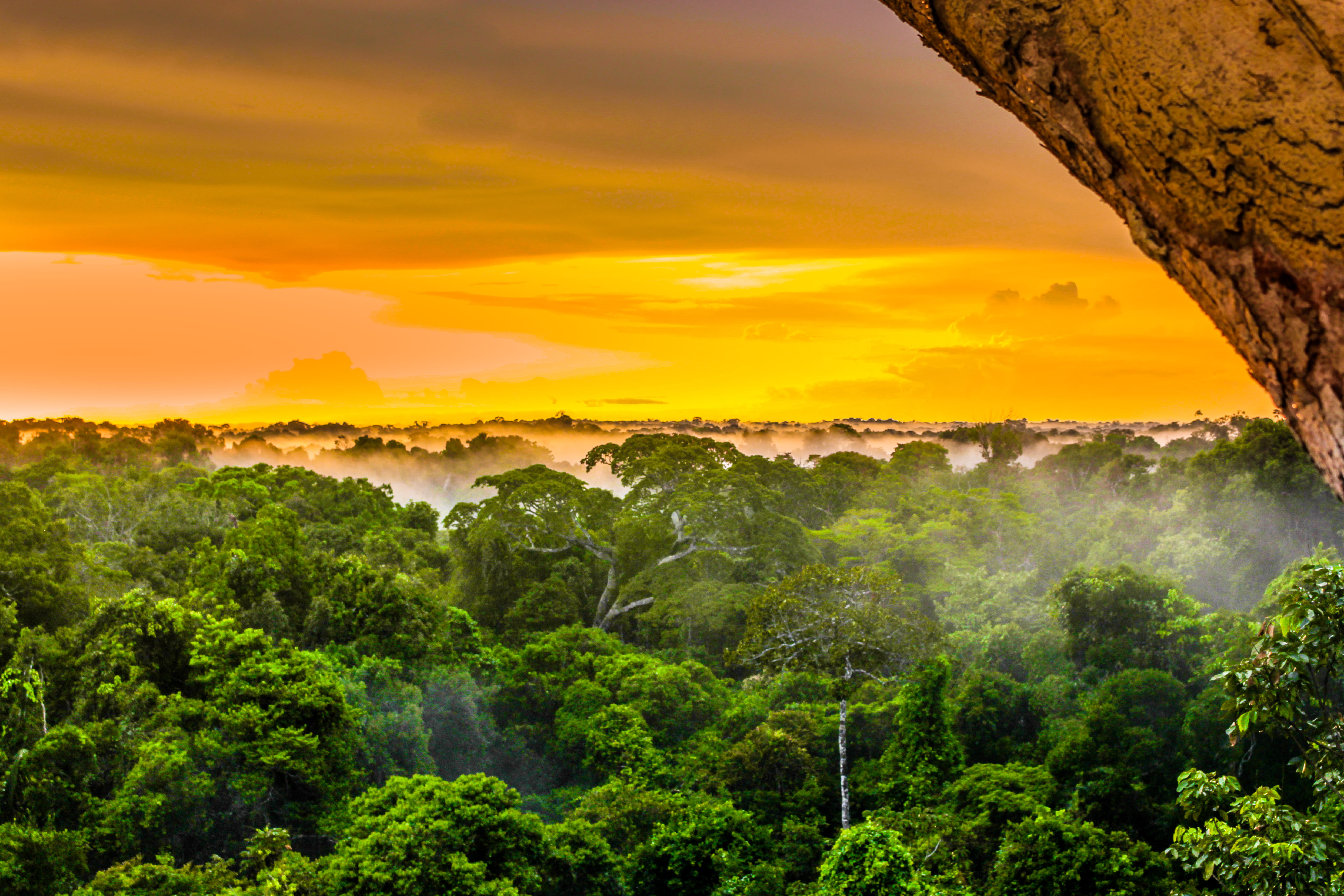 Amazonas Der Online Reisef hrer Von MARCO POLO amazonas-der-online-reisef-hrer-von-marco-polo