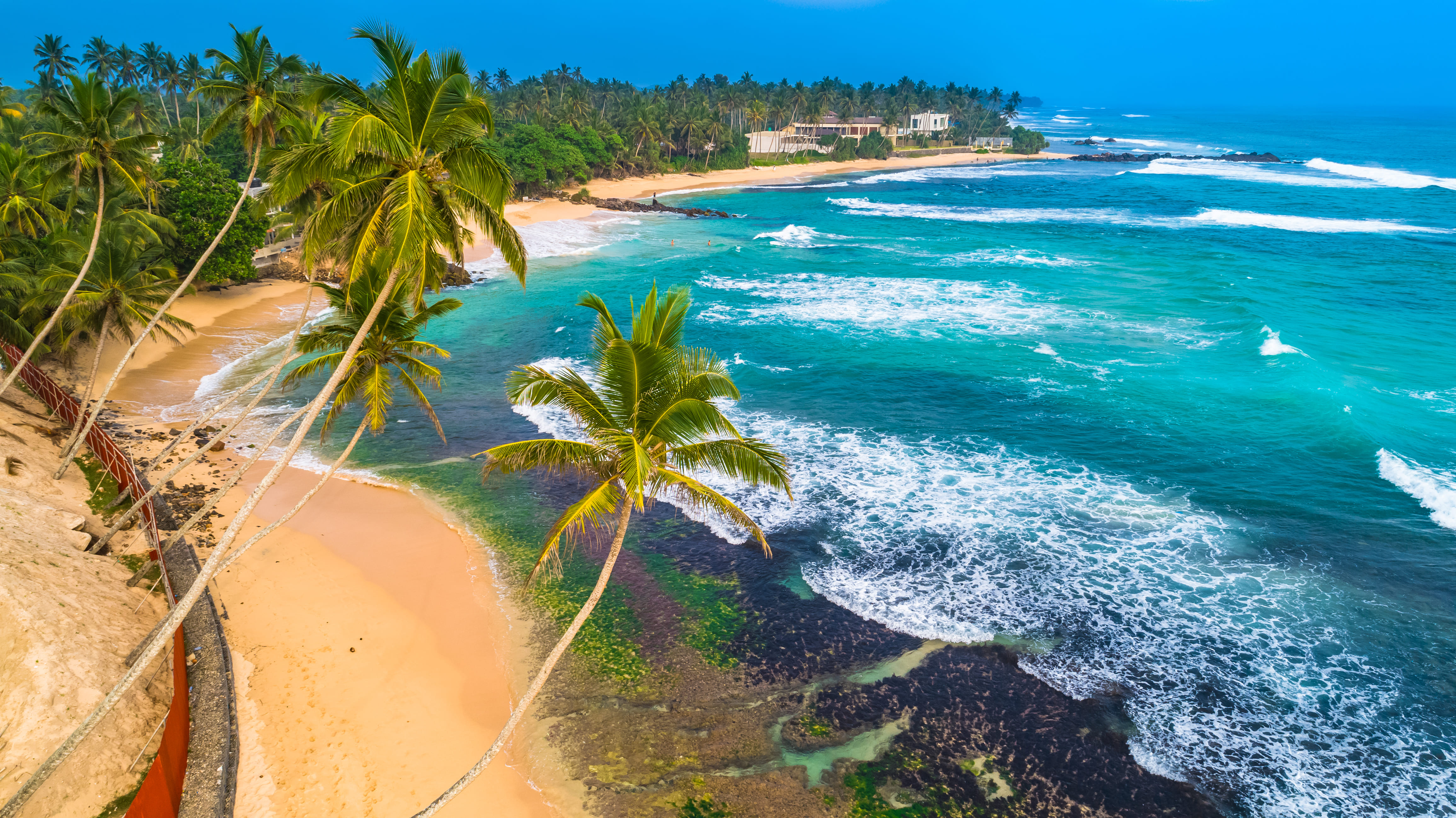 Sri Lanka -- tropical coastline and palm trees
