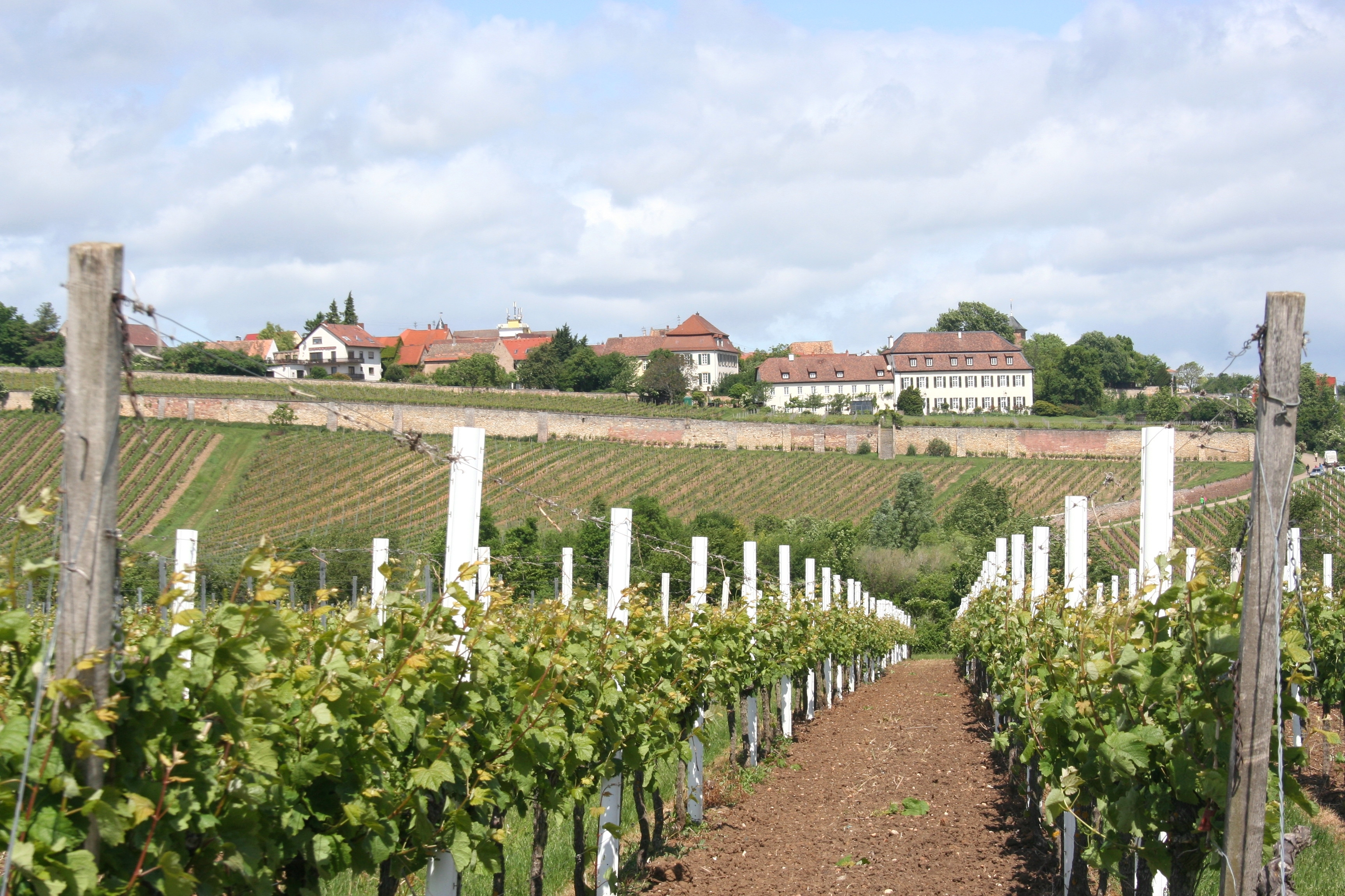 Best HD Pictures about  Herxheim Mbel Gilb  with No AI Images